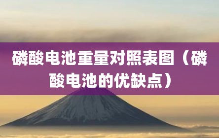 磷酸电池重量对照表图（磷酸电池的优缺点）