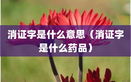 消证字是什么意思（消证字是什么药品）