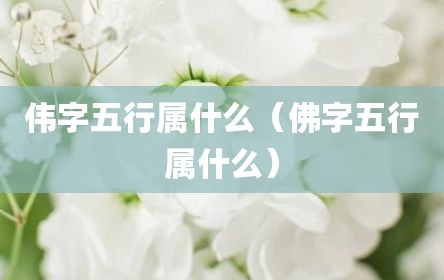 伟字五行属什么（佛字五行属什么）