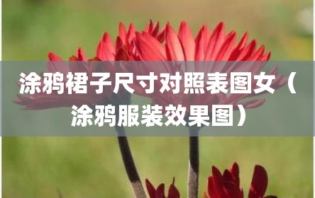涂鸦裙子尺寸对照表图女（涂鸦服装效果图）