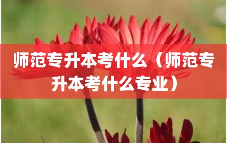 师范专升本考什么（师范专升本考什么专业）