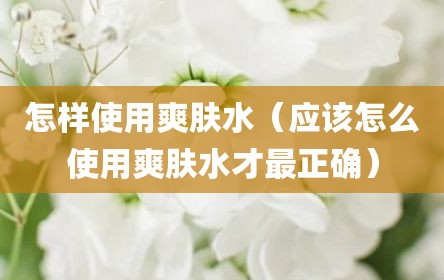 怎样使用爽肤水（应该怎么使用爽肤水才最正确）