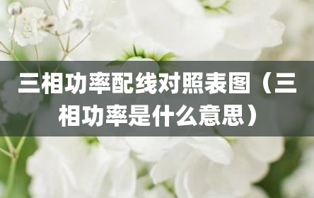 三相功率配线对照表图（三相功率是什么意思）