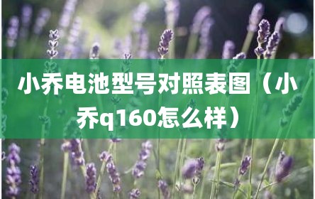 小乔电池型号对照表图（小乔q160怎么样）