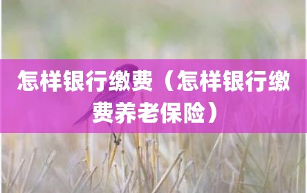 怎样银行缴费（怎样银行缴费养老保险）
