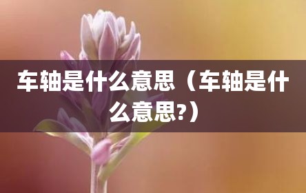 车轴是什么意思（车轴是什么意思?）