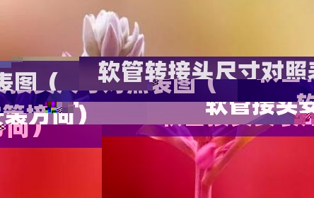 软管转接头尺寸对照表图（软管接头安装方向）