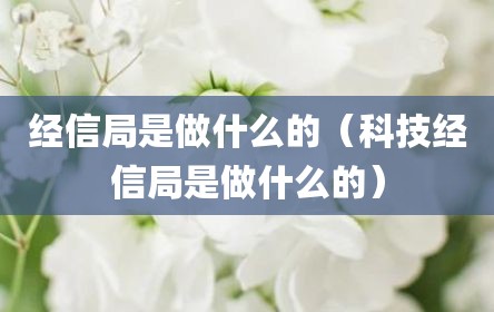 经信局是做什么的（科技经信局是做什么的）