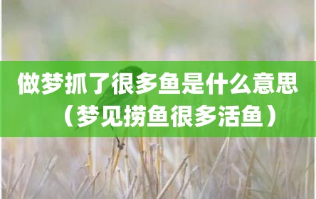 做梦抓了很多鱼是什么意思（梦见捞鱼很多活鱼）