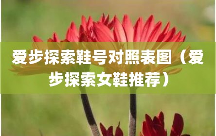爱步探索鞋号对照表图（爱步探索女鞋推荐）