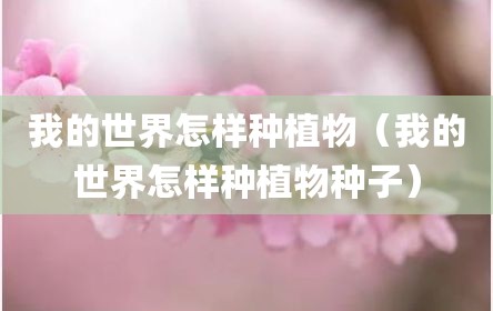 我的世界怎样种植物（我的世界怎样种植物种子）