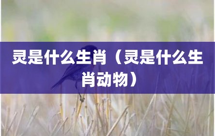 灵是什么生肖（灵是什么生肖动物）
