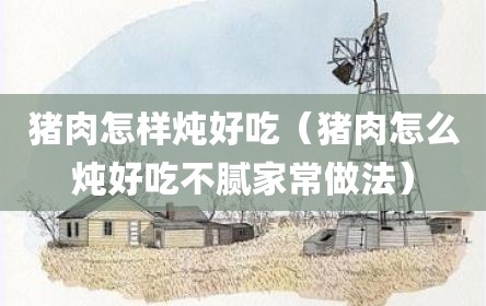 猪肉怎样炖好吃（猪肉怎么炖好吃不腻家常做法）