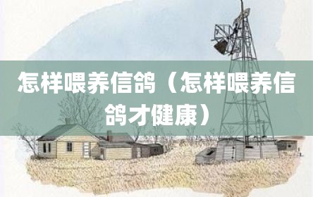 怎样喂养信鸽（怎样喂养信鸽才健康）