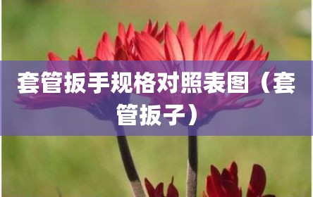 套管扳手规格对照表图（套管扳子）