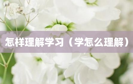 怎样理解学习（学怎么理解）
