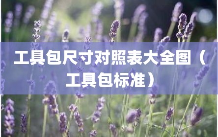 工具包尺寸对照表大全图（工具包标准）
