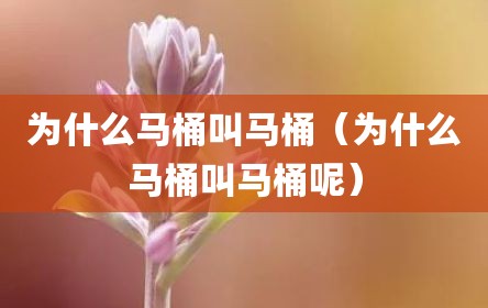 为什么马桶叫马桶（为什么马桶叫马桶呢）