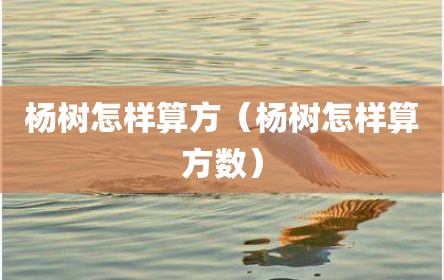 杨树怎样算方（杨树怎样算方数）