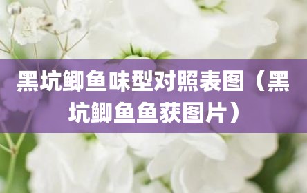 黑坑鲫鱼味型对照表图（黑坑鲫鱼鱼获图片）