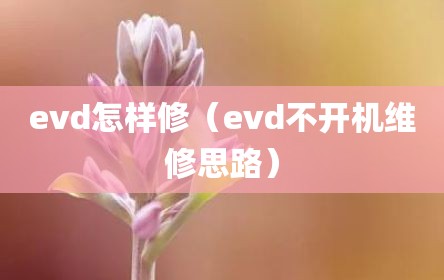 evd怎样修（evd不开机维修思路）