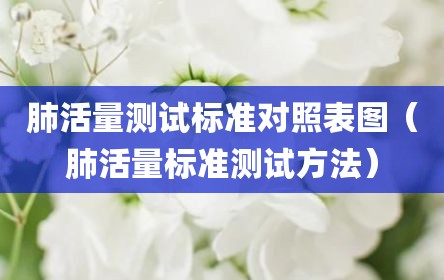 肺活量测试标准对照表图（肺活量标准测试方法）