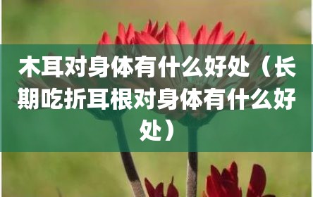 木耳对身体有什么好处（长期吃折耳根对身体有什么好处）