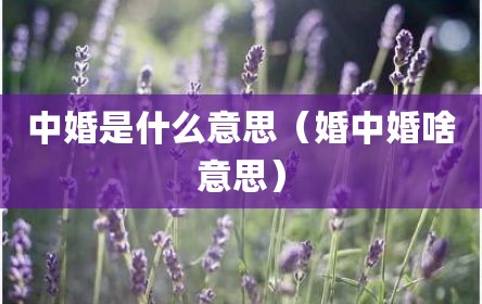 中婚是什么意思（婚中婚啥意思）