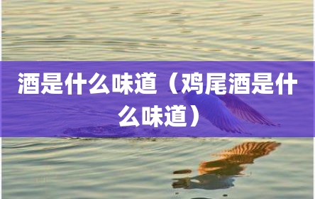 酒是什么味道（鸡尾酒是什么味道）