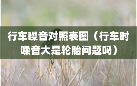 行车噪音对照表图（行车时噪音大是轮胎问题吗）