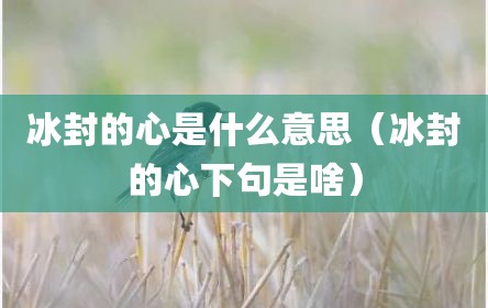 冰封的心是什么意思（冰封的心下句是啥）