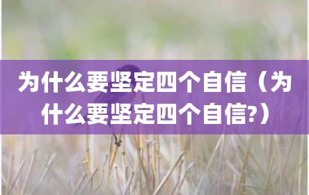 为什么要坚定四个自信（为什么要坚定四个自信?）