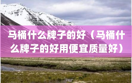 马桶什么牌子的好（马桶什么牌子的好用便宜质量好）