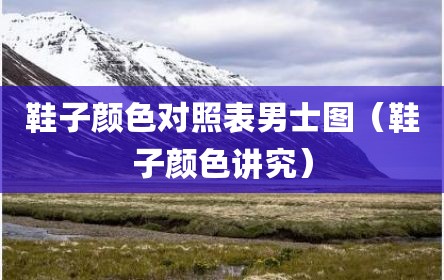 鞋子颜色对照表男士图（鞋子颜色讲究）