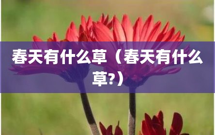 春天有什么草（春天有什么草?）