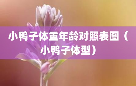 小鸭子体重年龄对照表图（小鸭子体型）