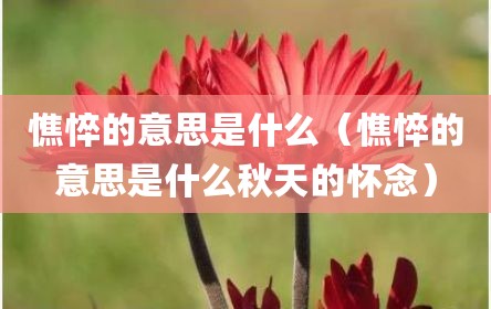 憔悴的意思是什么（憔悴的意思是什么秋天的怀念）