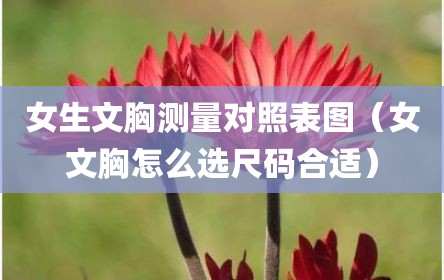 女生文胸测量对照表图（女文胸怎么选尺码合适）