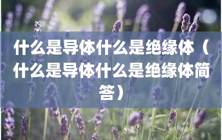 什么是导体什么是绝缘体（什么是导体什么是绝缘体简答）