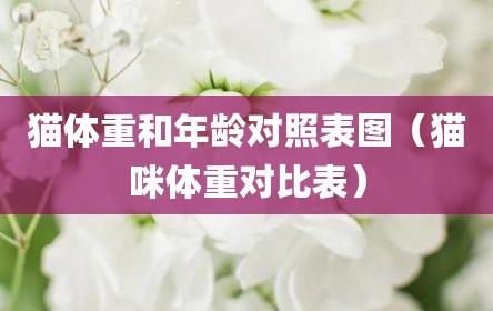 猫体重和年龄对照表图（猫咪体重对比表）