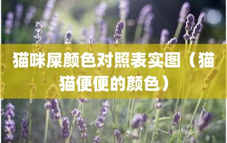 猫咪屎颜色对照表实图（猫猫便便的颜色）