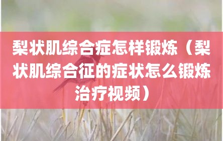 梨状肌综合症怎样锻炼（梨状肌综合征的症状怎么锻炼治疗视频）