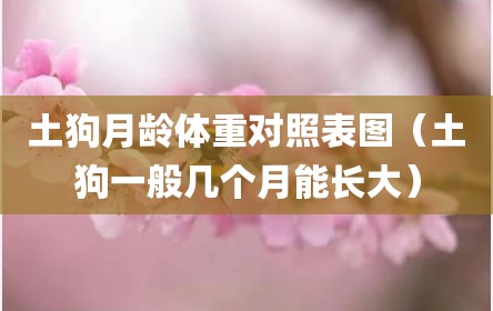 土狗月龄体重对照表图（土狗一般几个月能长大）