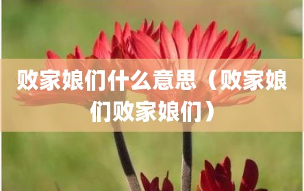 败家娘们什么意思（败家娘们败家娘们）