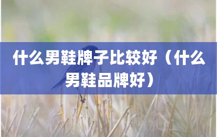 什么男鞋牌子比较好（什么男鞋品牌好）