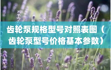 齿轮泵规格型号对照表图（齿轮泵型号价格基本参数）