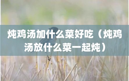 炖鸡汤加什么菜好吃（炖鸡汤放什么菜一起炖）