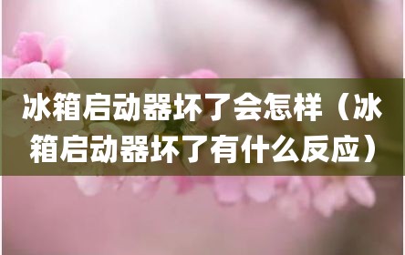 冰箱启动器坏了会怎样（冰箱启动器坏了有什么反应）