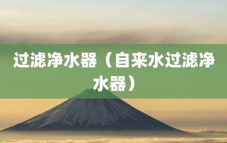 过滤净水器（自来水过滤净水器）