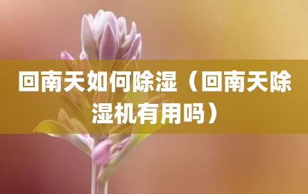 回南天如何除湿（回南天除湿机有用吗）